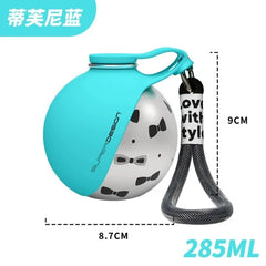 A spherical stainless steel dog water bottle with a turquoise silicone bowl and a black lanyard.