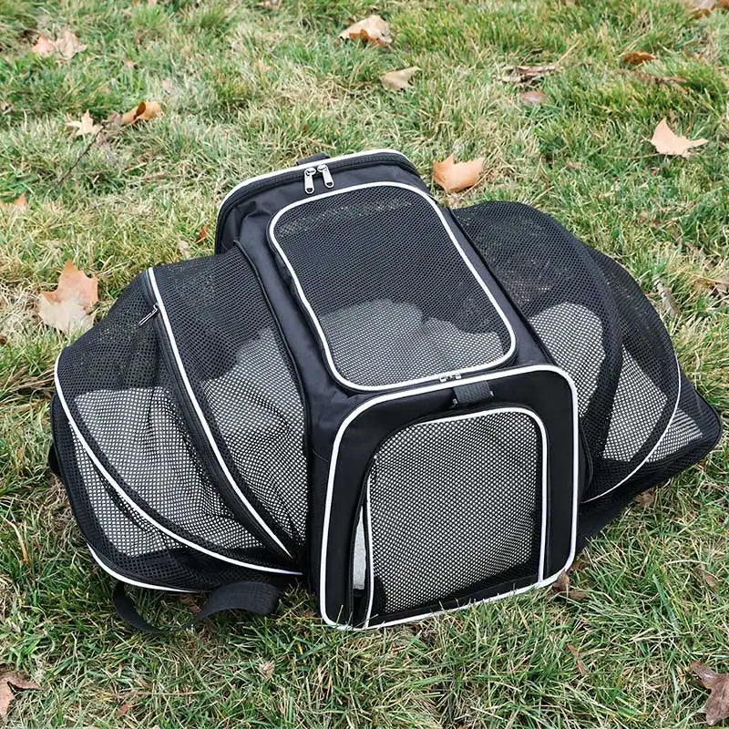 A black, foldable pet carrier with mesh panels sits on a grassy lawn.