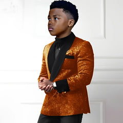 Sequin boys suit 2-piece set with double-breasted blazer and pants, stylish wedding tuxedo for kids aged 2-16 from Showlu Fashion