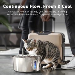 A stainless steel pet water fountain with a blue light indicator sits on the floor as a cat drinks.