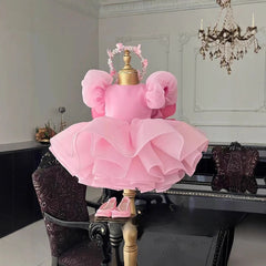 Party Dress with Wings Cute Tutu Fairy Costume Pink Children Girls Short Kids First Birthday Celebration Princess Pageant Gown
