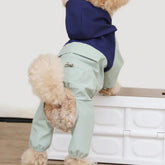 A dog wearing a two-tone blue and light green hooded four-legged raincoat.