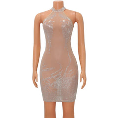 A sleeveless, sheer mini dress with a high neckline and silver rhinestone embellishments.