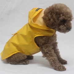A brown poodle wears a bright yellow waterproof dog raincoat with a hood and reflective stripe.