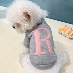A small white dog wears a grey cotton hoodie featuring a large pink letter R on the back.