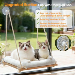 Two cats sit on a wooden window perch with a plush cushion attached to glass by suction cups.