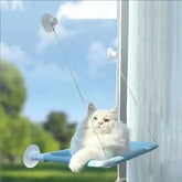A fluffy white cat rests on a blue fabric window hammock attached to glass with suction cups.
