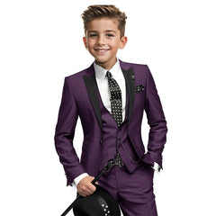 Navy Blue Boys Tuxedo 3-piece Blazer Pants Vest Wedding Boy Suit Formal Custom 2-16 Years Old Outfit