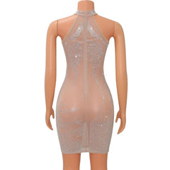 A sheer, sleeveless mini dress with a high neckline and intricate rhinestone embellishments.