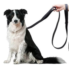A black nylon dog leash with double handles and reflective stitching held by a hand.