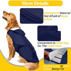 A golden retriever wears a navy blue waterproof dog raincoat with a hood and leash hole.