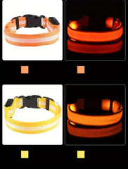 LED Glow Dog Collar Safety Night Leash