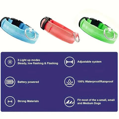 LED Glow Dog Collar Safety Night Leash