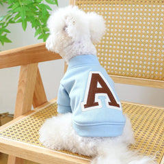 A small white dog sits on a wooden chair wearing a light blue hooded sweatshirt with a brown letter A.