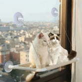 Two cats sit on a rectangular, suction-mounted window perch attached to a glass pane.