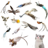 Cat Feather Teaser Wand