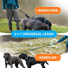 A dual dog leash shown in hands-free and hands-on configurations with two dogs.