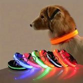 LED Glow Dog Collar Safety Night Leash
