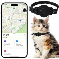 A fluffy kitten wears a black GPS tracking collar next to a smartphone displaying a map interface.