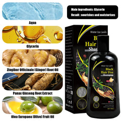 A bottle of Water Ice Levin black hair dye shampoo displayed with its ingredients and packaging.
