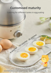 Electric Egg Boiler 360W Stainless Steel 4-6 Eggs Timer Cooker