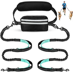 A hands-free dual dog leash with a waist pouch and two bungee leashes for walking two dogs.