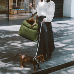 A person carries a green nylon pet travel bag while walking a dachshund on a leash.