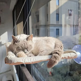 A light-colored cat sleeps peacefully on a beige window-mounted cat hammock.