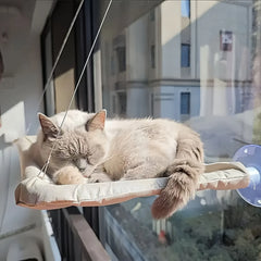 A light-colored cat sleeps peacefully on a beige window-mounted cat hammock.