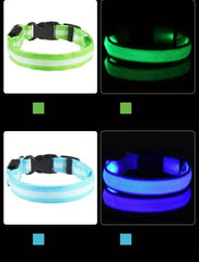 LED Glow Dog Collar Safety Night Leash