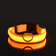 A glowing yellow LED nylon dog collar with a metal D-ring sits on a reflective black surface.