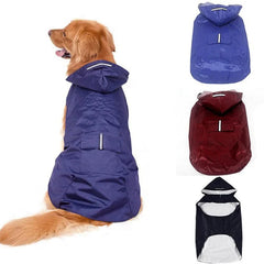 A golden retriever wears a blue hooded dog raincoat with a reflective stripe on the back.
