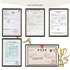 A collection of five official business certificates and a gold trophy displayed on a white background.