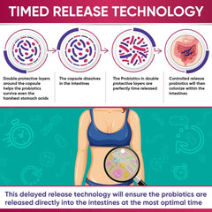 An infographic illustrates how timed-release probiotic capsules survive stomach acid to reach the gut.