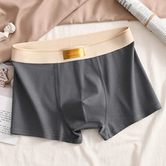 Luxury Men Underpants Man Cotton Breathable Comfortable Boxer Selling Shorts Men's Panties Plus Size Panties Underwear Gift - SHOWLU FASHION STORE