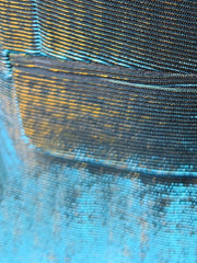 A close-up view of a men's blazer featuring a dark green to blue ombre gradient woven fabric.