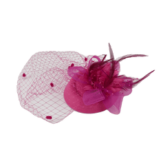 A fuchsia fascinator featuring a mesh veil, floral accents, and decorative feathers.