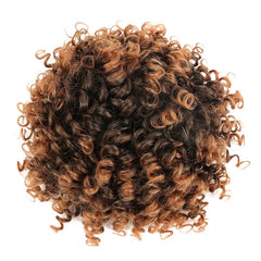 A curly afro puff hair bun with a mix of natural black and brown highlights.