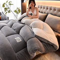 Winter Winter Quilt Thick Lambskin Duvet Insert Students Warm - Keeping Single Double Duvet Quilt 5.00kg Double - Sided Velvet Bedding - SHOWLU FASHION STORE