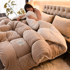 Winter Winter Quilt Thick Lambskin Duvet Insert Students Warm - Keeping Single Double Duvet Quilt 5.00kg Double - Sided Velvet Bedding - SHOWLU FASHION STORE