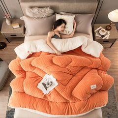 220x240 5kg Super Warm Lamb Wool Quilt Winter Thickened Cotton Quilt Warm Cotton Double Sided Velvet Soft Extra Large Blanket 이불 - SHOWLU FASHION STORE