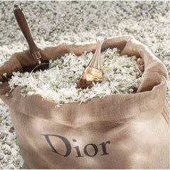 Dior Jadore Women's Perfume | 3.4 Oz | Iconic Floral & Oriental Eau de Parfum