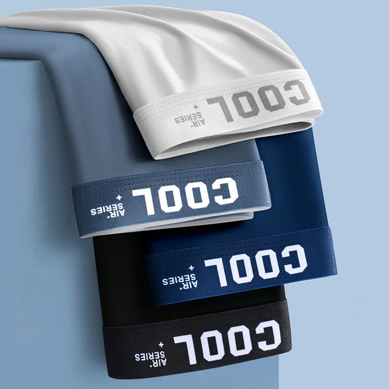 4Pcs Boxer Shorts Men's Underwear Ice Silk Underpants Sexy Panties 3A Antibacterial Breathable Elastic Lingerie Plus Size L - 6XL - SHOWLU FASHION STORE