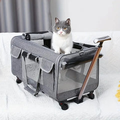 A grey, foldable pet trolley carrier with mesh windows and a cat sitting on top.