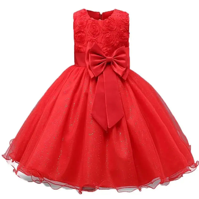 Baby girls' lace tutu princess dress with floral embroidery, elegant party gown for girls from Showlu Fashion Store.