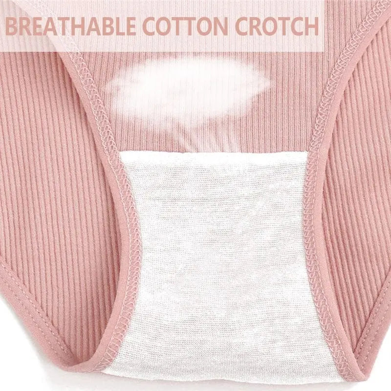 Set of three FINETOO women's cotton lace panties in low-rise briefs, breathable and comfortable underwear for women.