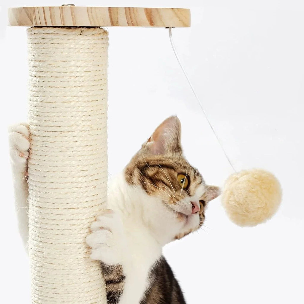 Showlu solid wood cat scratching board with climbing frame, eco-friendly design, natural wood finish for cats' scratching and climbing needs.