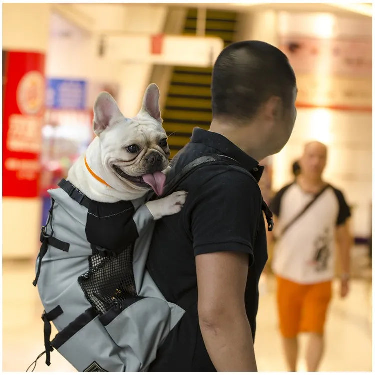 Showlu Fashion Store Petguider breathable nylon dog carrier backpack for hiking and travel, with adjustable straps and mesh ventilation.