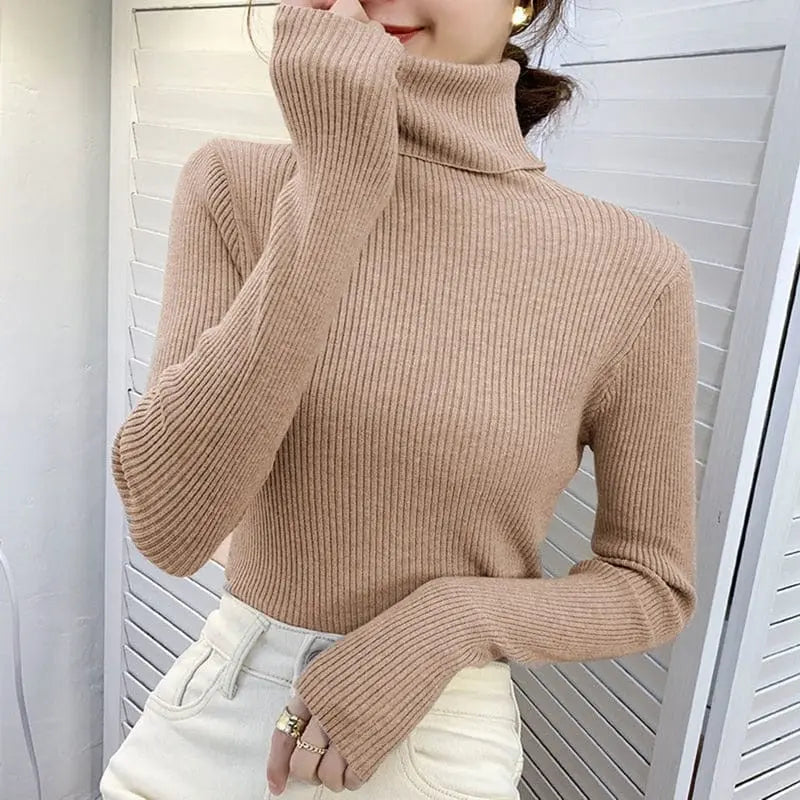 Heliar women's slim fit cashmere turtleneck sweater in soft knit for fall and winter, stylish pullover for women.
