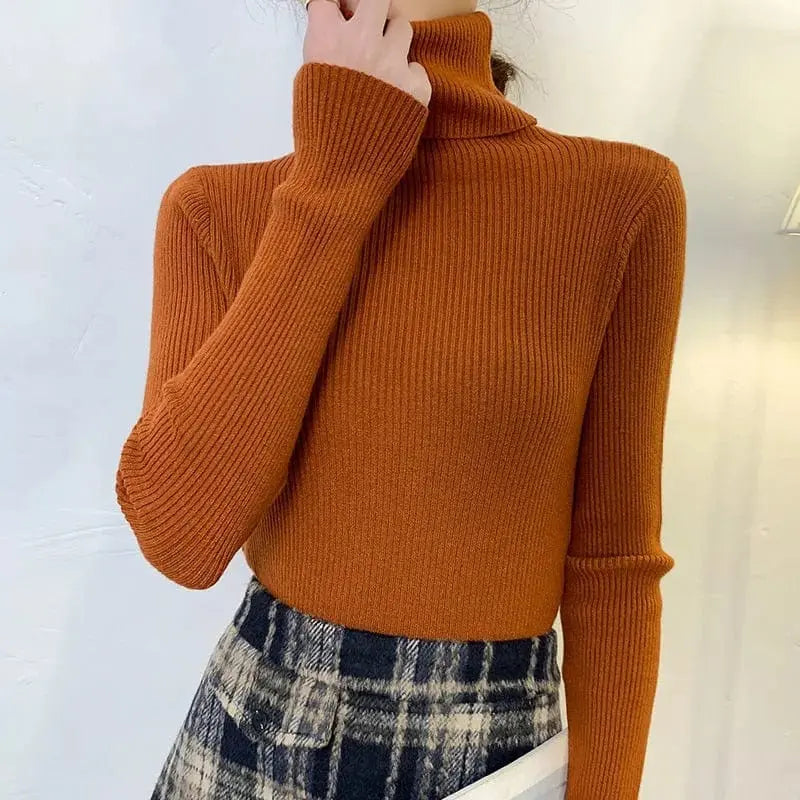 Heliar women's slim fit turtleneck sweater in soft cashmere knit, cozy autumn winter pullover, stylish and warm for women.